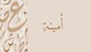 صورة مقال معنى اسم أمنية