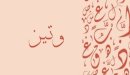صورة مقال معنى اسم وتين