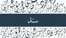 صورة مقال معنى اسم سند