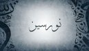 صورة مقال معنى اسم نورسين