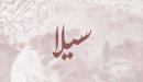 صورة مقال معنى اسم سيلا