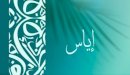 صورة مقال معنى اسم اياس