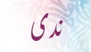صورة مقال ما معنى اسم ندى