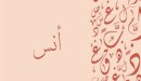 صورة مقال معنى اسم انس