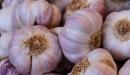 صورة مقال أنواع الثوم