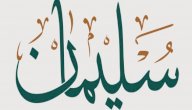 عدد زوجات النبي سليمان صورة مقال عدد زوجات النبي سليمان