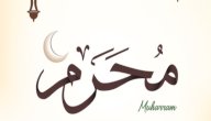فضل صيام محرم صورة مقال فضل صيام محرم