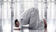 عدد الركعات الفرض والسنة صورة مقال عدد الركعات الفرض والسنة