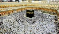 كم عدد أيام الحج صورة مقال كم عدد أيام الحج