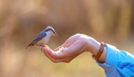 عمل الخير في الإسلام صورة مقال عمل الخير في الإسلام
