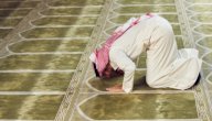 فضل الصلاة على وقتها صورة مقال فضل الصلاة على وقتها