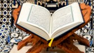 خصائص السور المكية والمدنية صورة مقال خصائص السور المكية والمدنية
