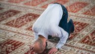 عدد ركعات صلاة الفجر والصبح صورة مقال عدد ركعات صلاة الفجر والصبح