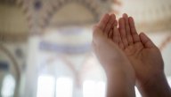 هل يمكن جلب الرزق سريعاً؟ صورة مقال هل يمكن جلب الرزق سريعاً؟