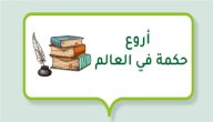 أروع حكمة في العالم صورة مقال أروع حكمة في العالم