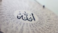 دلائل وحدانية الله صورة مقال دلائل وحدانية الله
