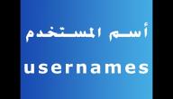 طريقة تغيير اسم المستخدم في التويتر صورة مقال طريقة تغيير اسم المستخدم في التويتر