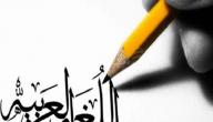 تعليم اللغة العربية صورة مقال تعليم اللغة العربية