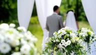 اعرف هذه الحقائق قبل الزواج صورة مقال اعرف هذه الحقائق قبل الزواج