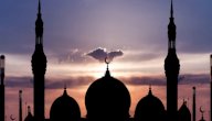 عدد الرسل وأسماؤهم بالترتيب صورة مقال عدد الرسل وأسماؤهم بالترتيب