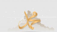 موضوع تعبير عن صفات الرسول صورة مقال موضوع تعبير عن صفات الرسول