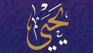 صفات يحيى عليه السلام صورة مقال صفات يحيى عليه السلام