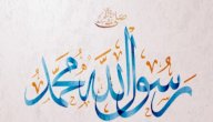 خصائص الرسول صلى الله عليه وسلم صورة مقال خصائص الرسول صلى الله عليه وسلم