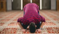 ما فضل صلاة الوتر صورة مقال ما فضل صلاة الوتر