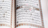 معلومات عن سيدنا يوسف صورة مقال معلومات عن سيدنا يوسف