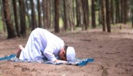 خطوات الصلاة للأطفال صورة مقال خطوات الصلاة للأطفال