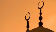 خصائص مذهب الإمام مالك صورة مقال خصائص مذهب الإمام مالك