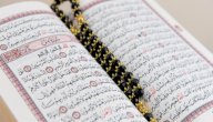 ما فائدة سورة ياسين صورة مقال ما فائدة سورة ياسين
