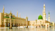 الصلاة في الروضة صورة مقال الصلاة في الروضة
