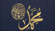 عدد الغزوات التي شارك فيها الرسول بنفسه صورة مقال عدد الغزوات التي شارك فيها الرسول بنفسه