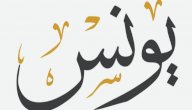 مقام النبي يونس صورة مقال مقام النبي يونس