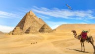 السياحة في مصر صورة مقال السياحة في مصر