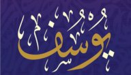 أسماء أبناء النبي يوسف عليه السلام صورة مقال أسماء أبناء النبي يوسف عليه السلام