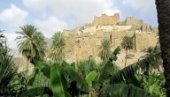 قرية ذي عين صورة مقال قرية ذي عين