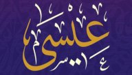 ما هي معجزات عيسى عليه السلام صورة مقال ما هي معجزات عيسى عليه السلام