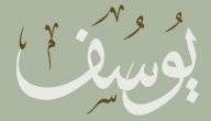 ما هي معجزة سيدنا يوسف صورة مقال ما هي معجزة سيدنا يوسف