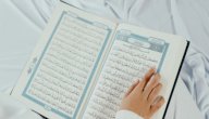 تعريف سورة مريم صورة مقال تعريف سورة مريم