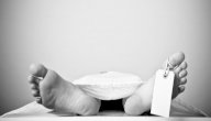 متى يبدأ جسم الميت بالتحلل صورة مقال متى يبدأ جسم الميت بالتحلل