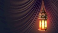 حكم علي بن ابي طالب صورة مقال حكم علي بن ابي طالب