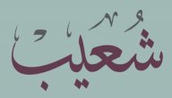 معلومات عن النبي شعيب صورة مقال معلومات عن النبي شعيب