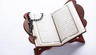 كم عدد السور التي نزلت على الرسول في مكة صورة مقال كم عدد السور التي نزلت على الرسول في مكة