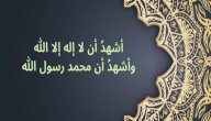 ما هي أركان الإسلام الخمسة صورة مقال ما هي أركان الإسلام الخمسة