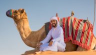 كلمات ناقتي ياناقتي صورة مقال كلمات ناقتي ياناقتي