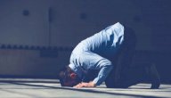 ما هي صلاة الوتر صورة مقال ما هي صلاة الوتر