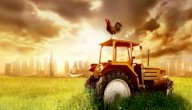 تعبير عن المدينة والريف صورة مقال تعبير عن المدينة والريف