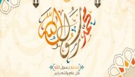 كلمات فى ذكرى المولد النبوي صورة مقال كلمات فى ذكرى المولد النبوي
